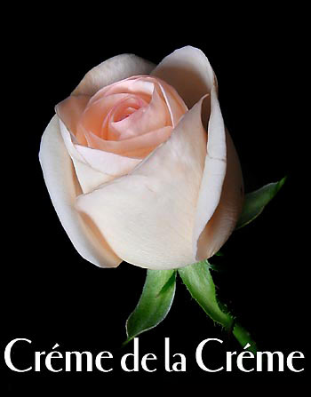 CREME DE LA CREME COLOMBIAN ROSE